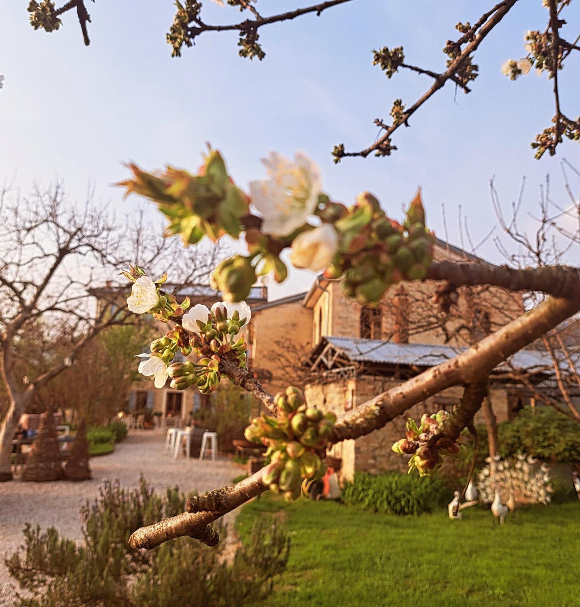 Casadesergio Refrontolo ภายนอก รูปภาพ