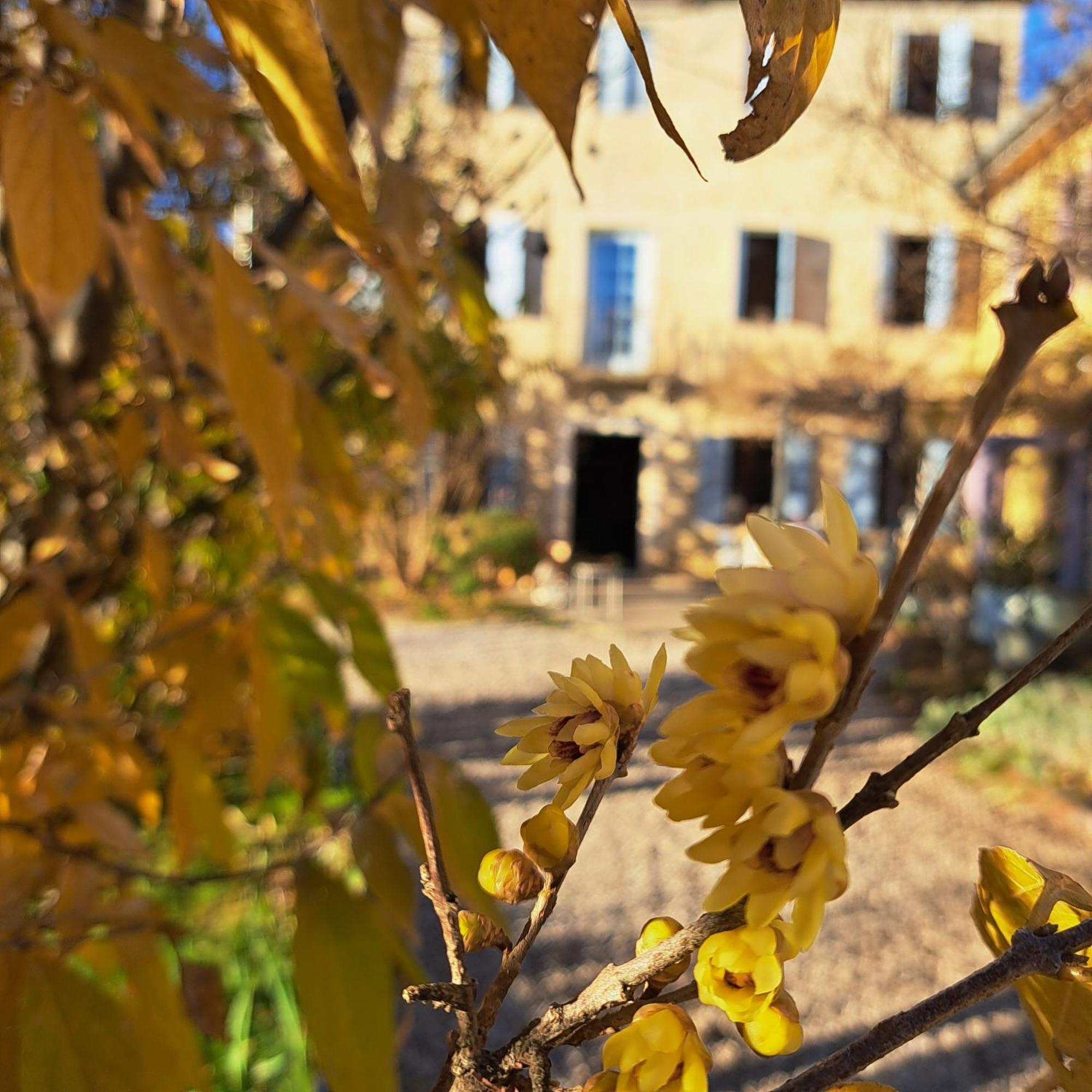 Casadesergio Refrontolo ภายนอก รูปภาพ