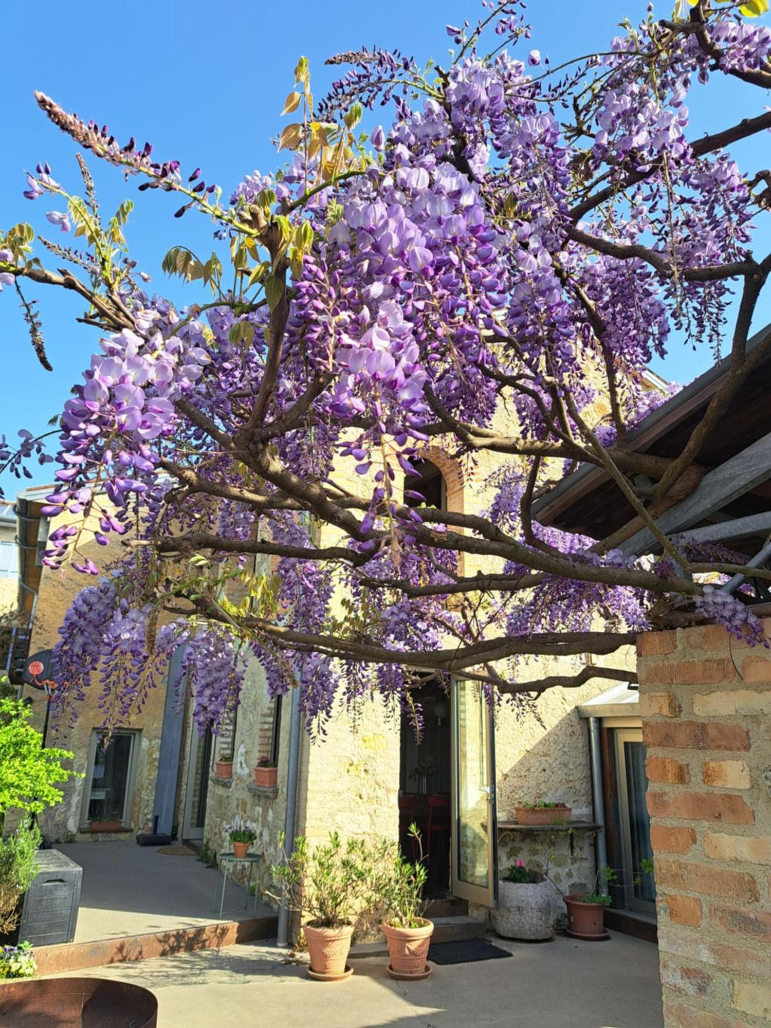 Casadesergio Refrontolo ภายนอก รูปภาพ