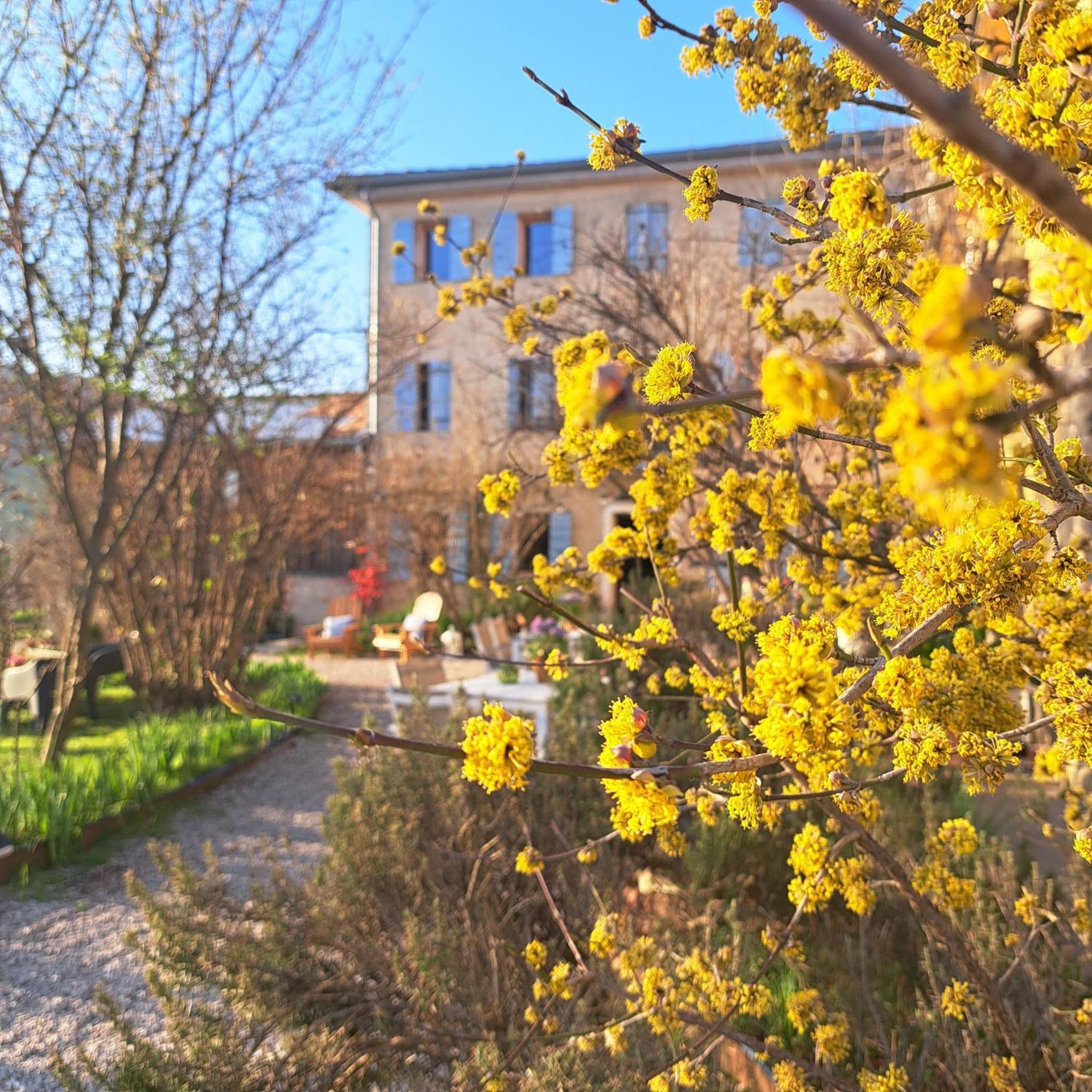 Casadesergio Refrontolo ภายนอก รูปภาพ