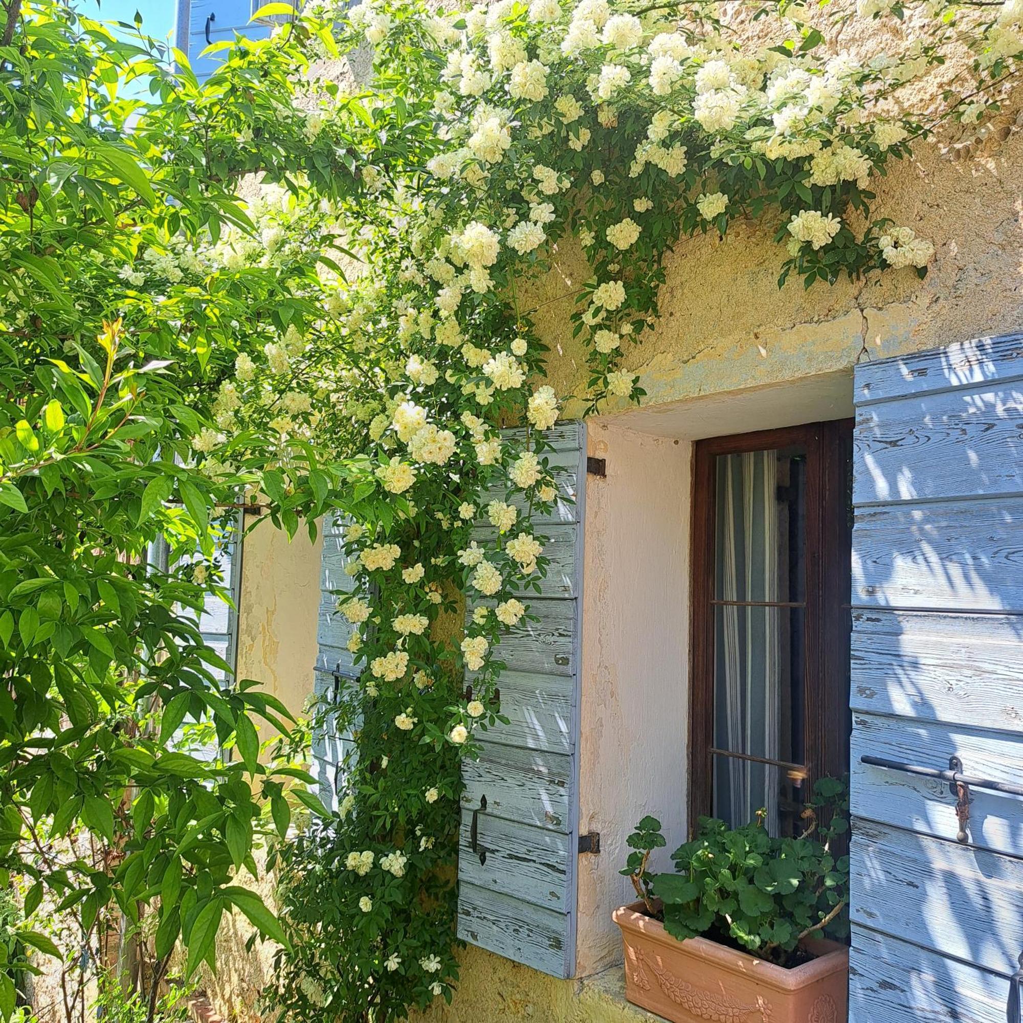 Casadesergio Refrontolo ภายนอก รูปภาพ