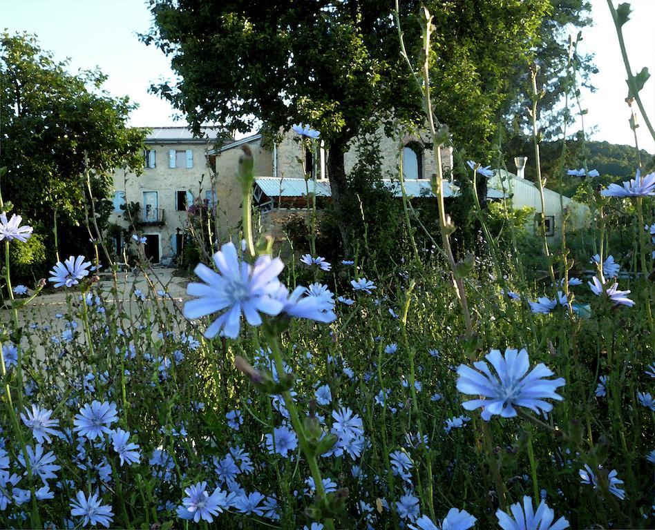 Casadesergio Refrontolo ภายนอก รูปภาพ